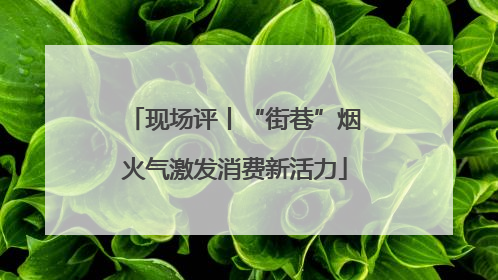 现场评丨“街巷”烟火气激发消费新活力