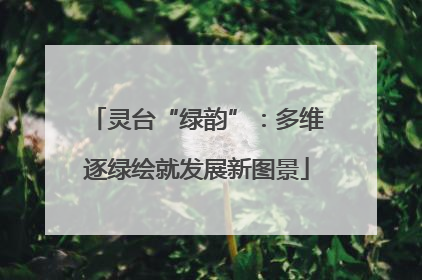 灵台“绿韵”：多维逐绿绘就发展新图景