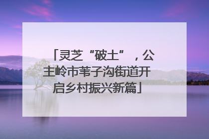 灵芝“破土”，公主岭市苇子沟街道开启乡村振兴新篇