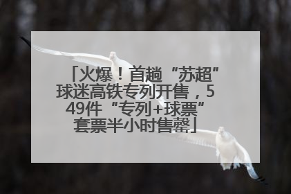 火爆！首趟“苏超”球迷高铁专列开售，549件“专列+球票”套票半小时售罄