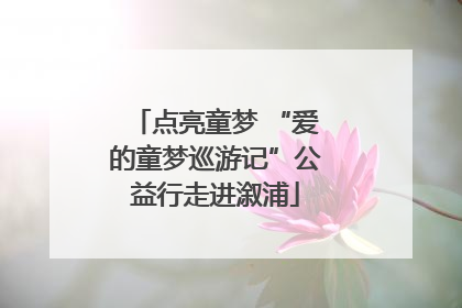 点亮童梦 “爱的童梦巡游记”公益行走进溆浦