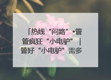 热线“问路”•管管疯狂“小电驴”｜管好“小电驴”需多部门形成合力