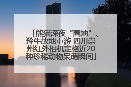 熊猫深夜“圈地”、羚牛故地重游 四川崇州红外相机定格近20种珍稀动物呆萌瞬间