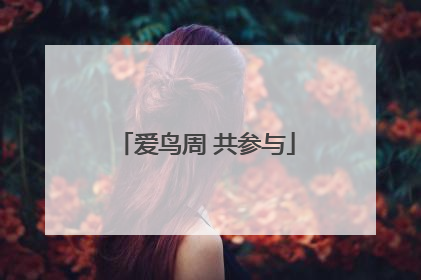 爱鸟周 共参与