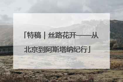 特稿｜丝路花开——从北京到阿斯塔纳纪行