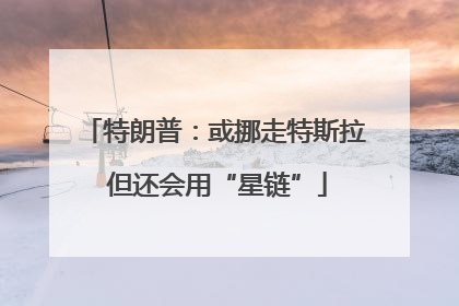 特朗普：或挪走特斯拉 但还会用“星链”