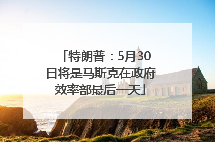 特朗普：5月30日将是马斯克在政府效率部最后一天