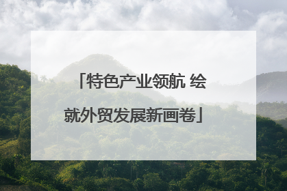 特色产业领航 绘就外贸发展新画卷