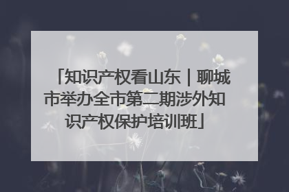 知识产权看山东｜聊城市举办全市第二期涉外知识产权保护培训班