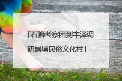 石狮考察团到丰泽调研蟳埔民俗文化村