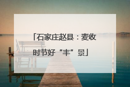 石家庄赵县：麦收时节好“丰”景