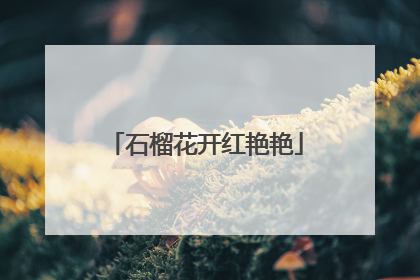石榴花开红艳艳