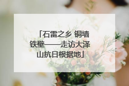 石雷之乡 铜墙铁壁——走访大泽山抗日根据地