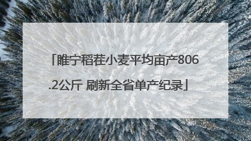 睢宁稻茬小麦平均亩产806.2公斤 刷新全省单产纪录