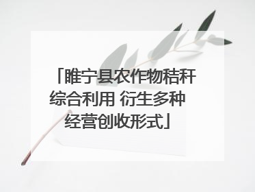 睢宁县农作物秸秆综合利用 衍生多种经营创收形式