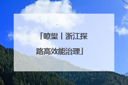 瞭望丨浙江探路高效能治理