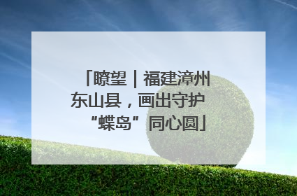 瞭望｜福建漳州东山县，画出守护“蝶岛”同心圆