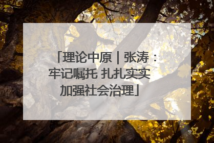 理论中原｜张涛：牢记嘱托 扎扎实实加强社会治理