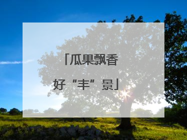 瓜果飘香 好“丰”景