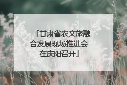 甘肃省农文旅融合发展现场推进会在庆阳召开