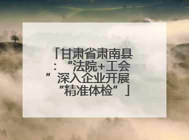 甘肃省肃南县：“法院+工会”深入企业开展“精准体检”