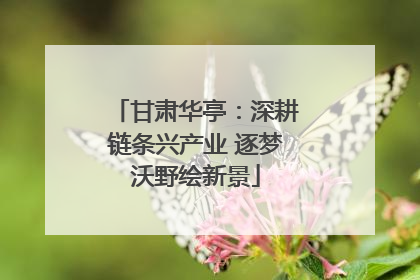 甘肃华亭：深耕链条兴产业 逐梦沃野绘新景