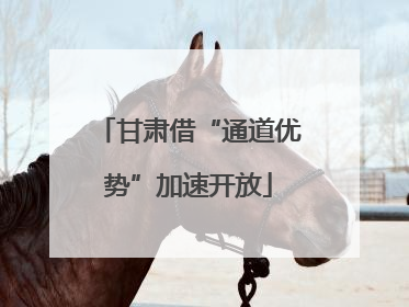 甘肃借“通道优势”加速开放