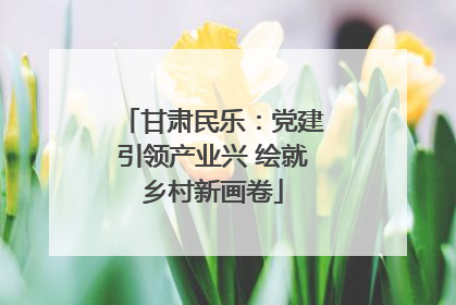 甘肃民乐：党建引领产业兴 绘就乡村新画卷