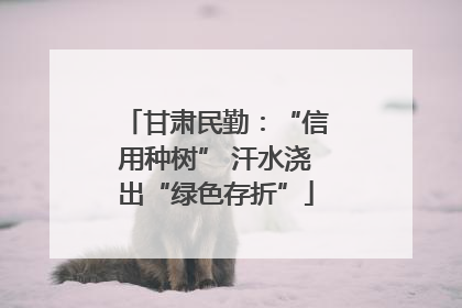 甘肃民勤：“信用种树” 汗水浇出“绿色存折”