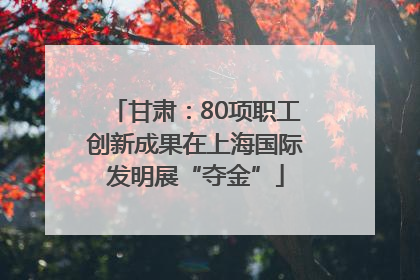 甘肃：80项职工创新成果在上海国际发明展“夺金”