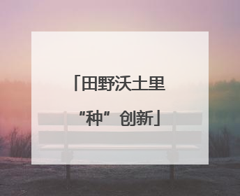 田野沃土里“种”创新
