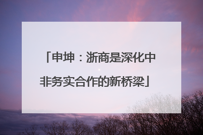 申坤：浙商是深化中非务实合作的新桥梁