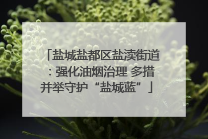 盐城盐都区盐渎街道：强化油烟治理 多措并举守护“盐城蓝”