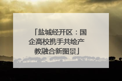 盐城经开区：国企高校携手共绘产教融合新图景