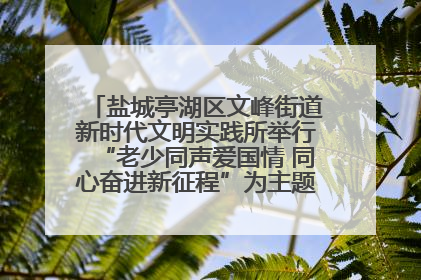 盐城亭湖区文峰街道新时代文明实践所举行“老少同声爱国情 同心奋进新征程”为主题的红色文化活动