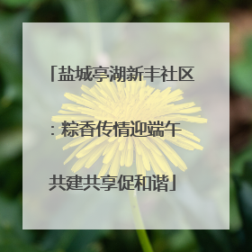 盐城亭湖新丰社区：粽香传情迎端午 共建共享促和谐