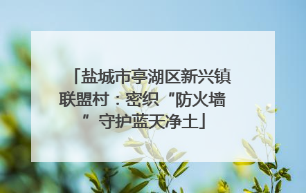 盐城市亭湖区新兴镇联盟村：密织“防火墙”守护蓝天净土