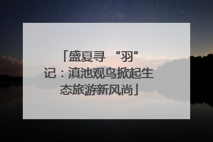 盛夏寻 “羽” 记：滇池观鸟掀起生态旅游新风尚