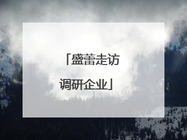 盛蕾走访调研企业