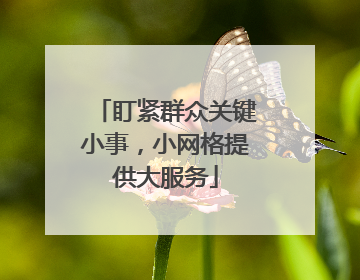 盯紧群众关键小事，小网格提供大服务