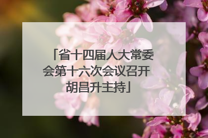 省十四届人大常委会第十六次会议召开 胡昌升主持