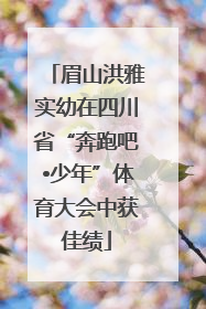 眉山洪雅实幼在四川省“奔跑吧•少年”体育大会中获佳绩
