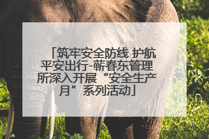 筑牢安全防线 护航平安出行-蕲春东管理所深入开展“安全生产月”系列活动
