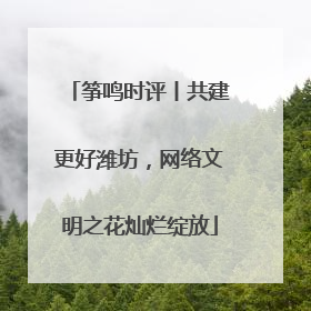 筝鸣时评丨共建更好潍坊，网络文明之花灿烂绽放