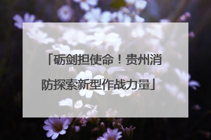 砺剑担使命！贵州消防探索新型作战力量