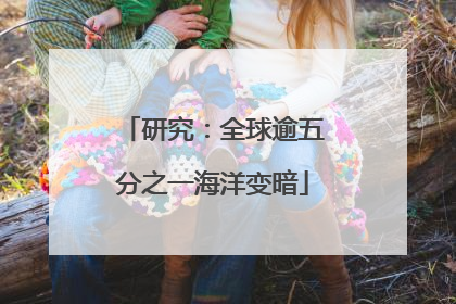 研究：全球逾五分之一海洋变暗