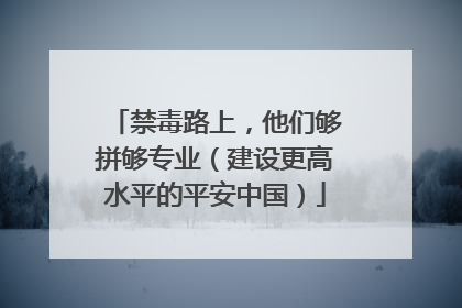 禁毒路上，他们够拼够专业（建设更高水平的平安中国）