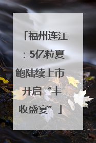福州连江：5亿粒夏鲍陆续上市 开启“丰收盛宴”