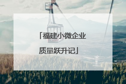 福建小微企业质量跃升记