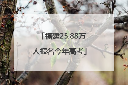 福建25.88万人报名今年高考